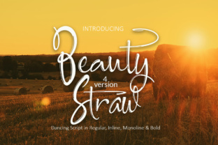 Beauty Straw: The Script Handwritten Font for Editorial Design