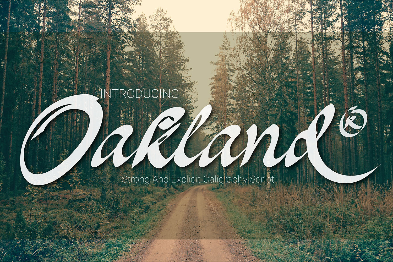 Oakland: A Modern Script Handwritten Font for Brand Headlines