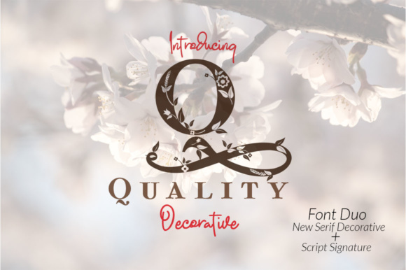 Quality: The Jaw-Dropping Decorative Font for Scroll-Stopping Visuals