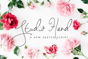 Studio Hand: The Signature Script Font for Polished Brand Identity